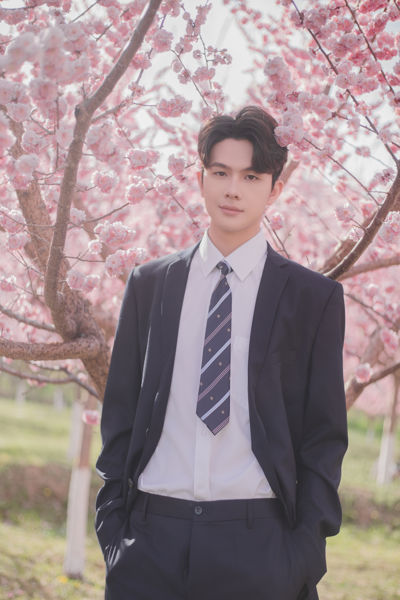 树下樱花男孩