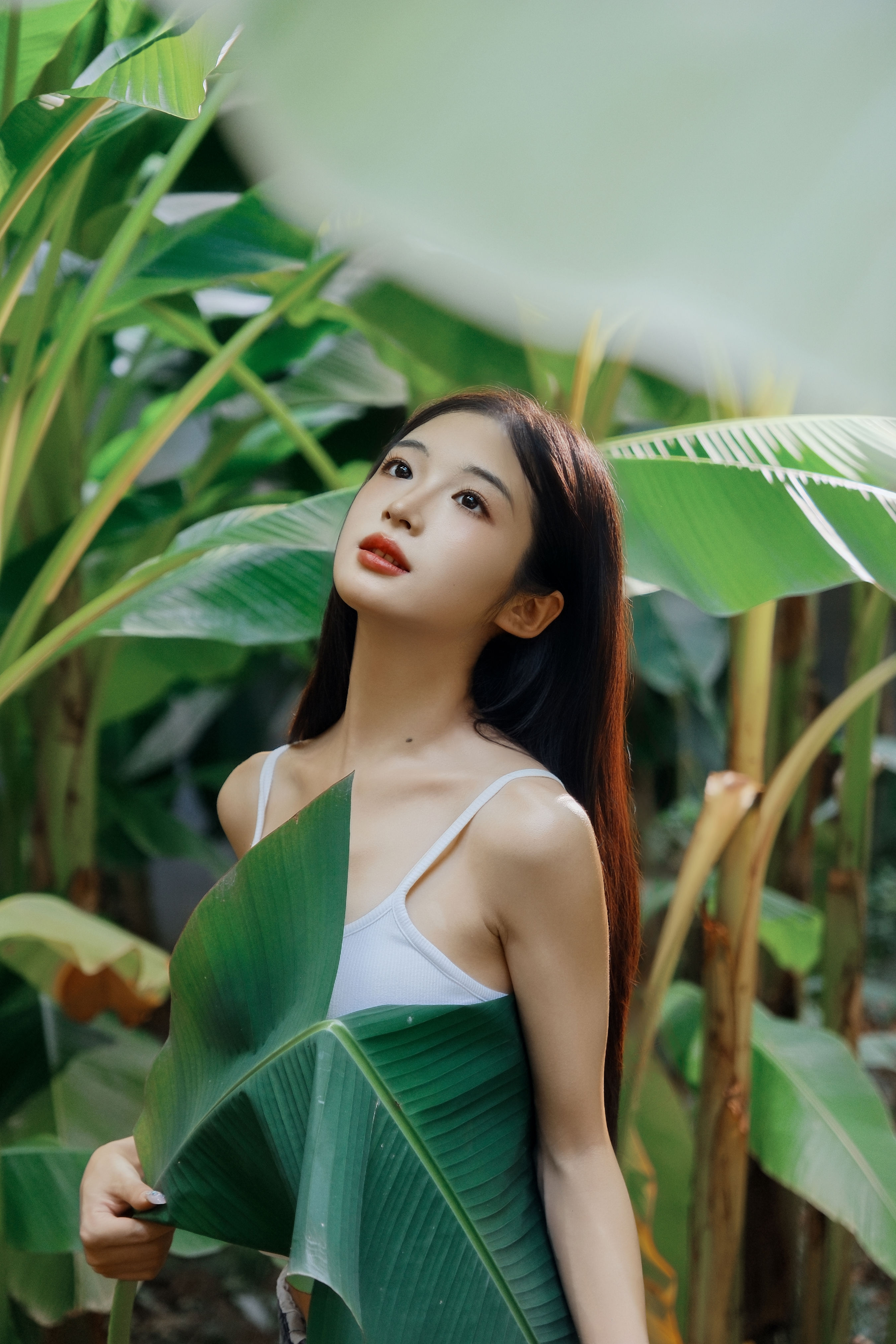 芭蕉叶下的邂逅