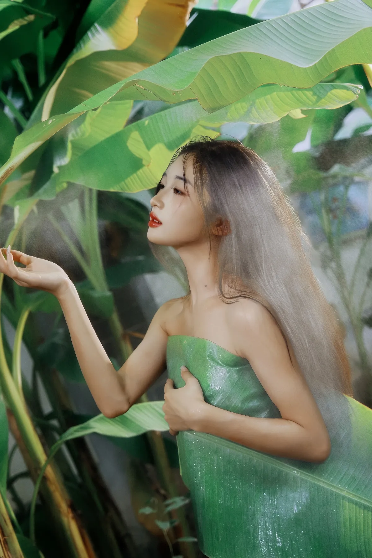 芭蕉叶下的邂逅