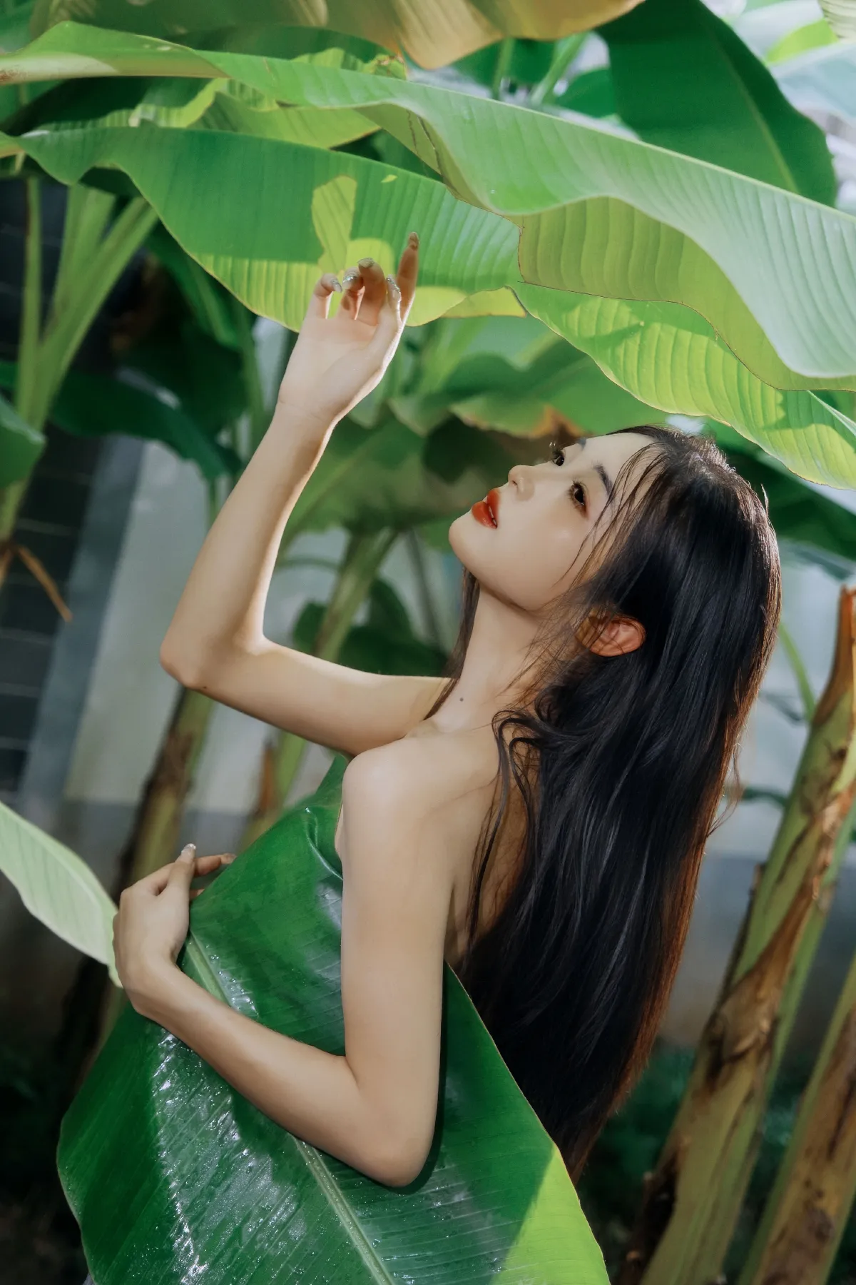 芭蕉叶下的邂逅