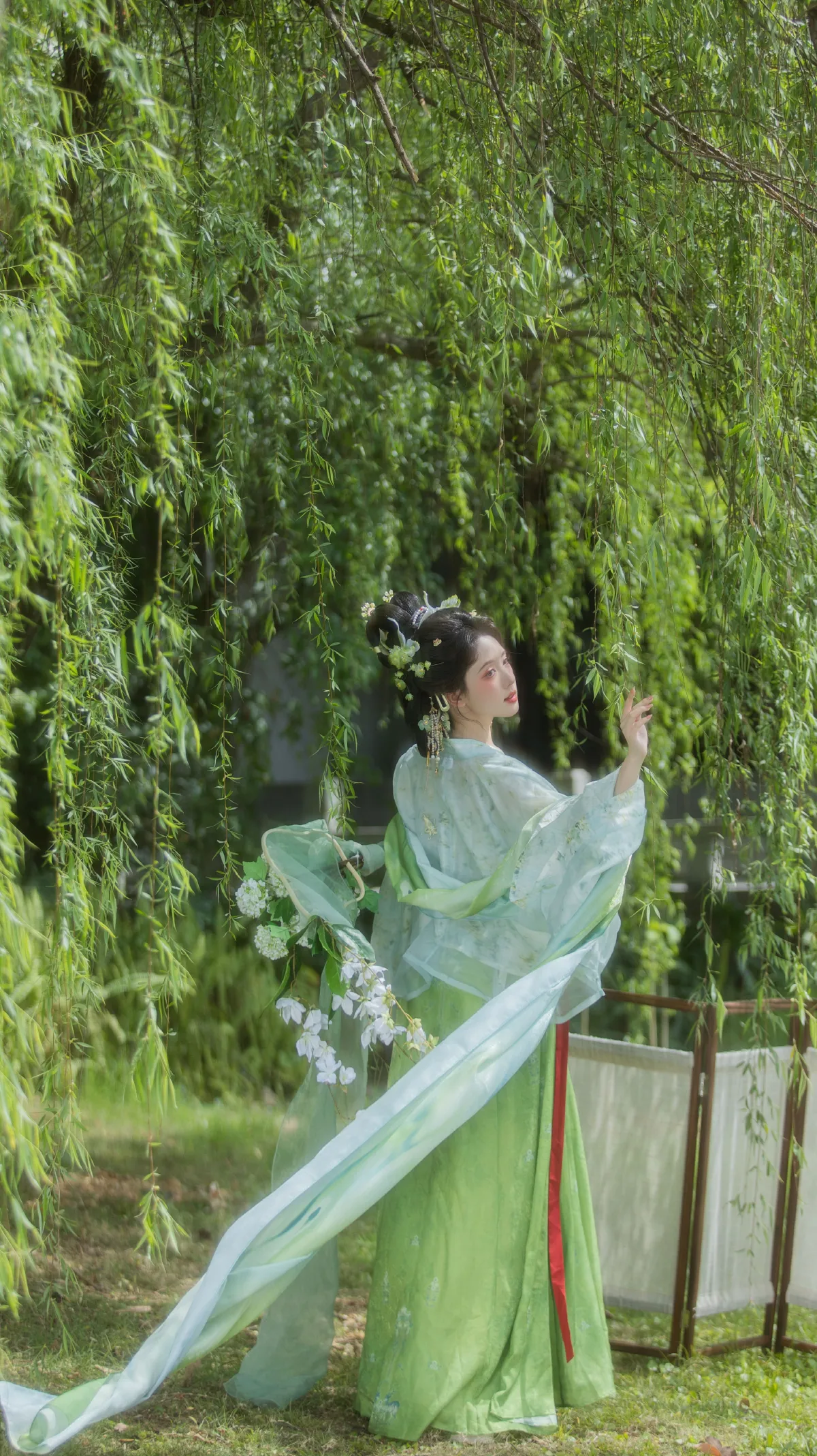 杨柳依依