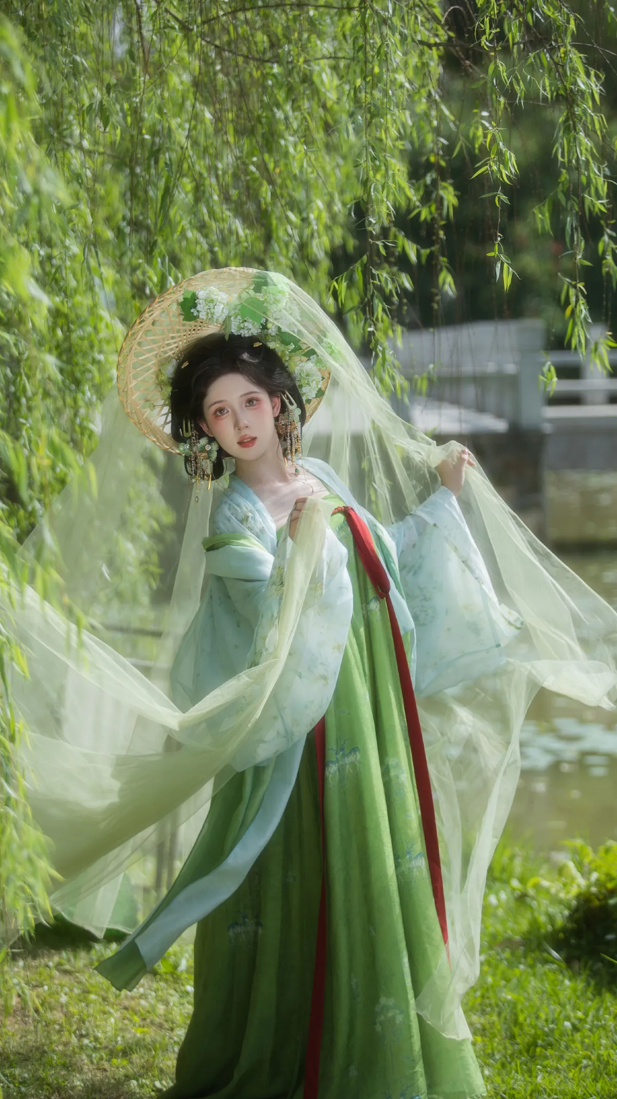 杨柳依依