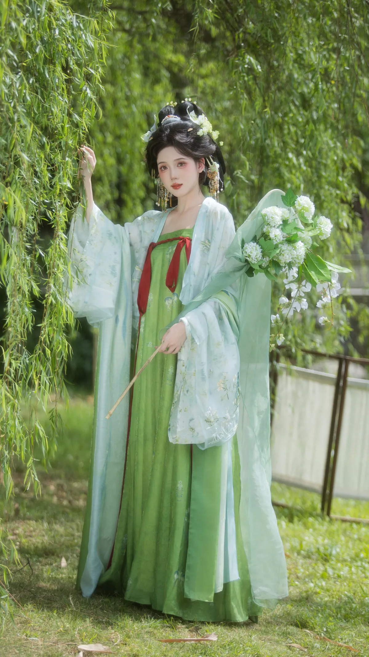 杨柳依依