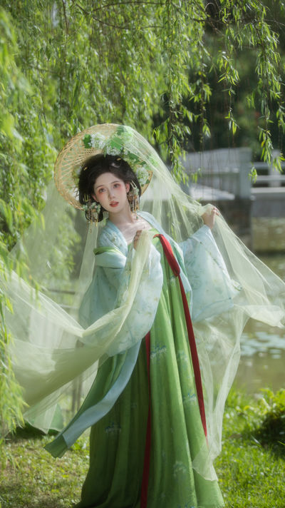 杨柳依依