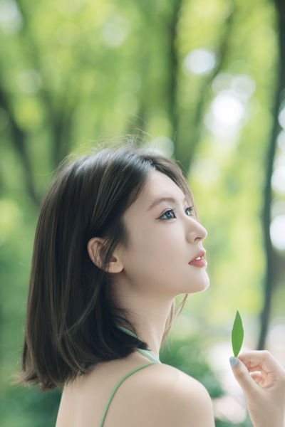 绿野仙踪