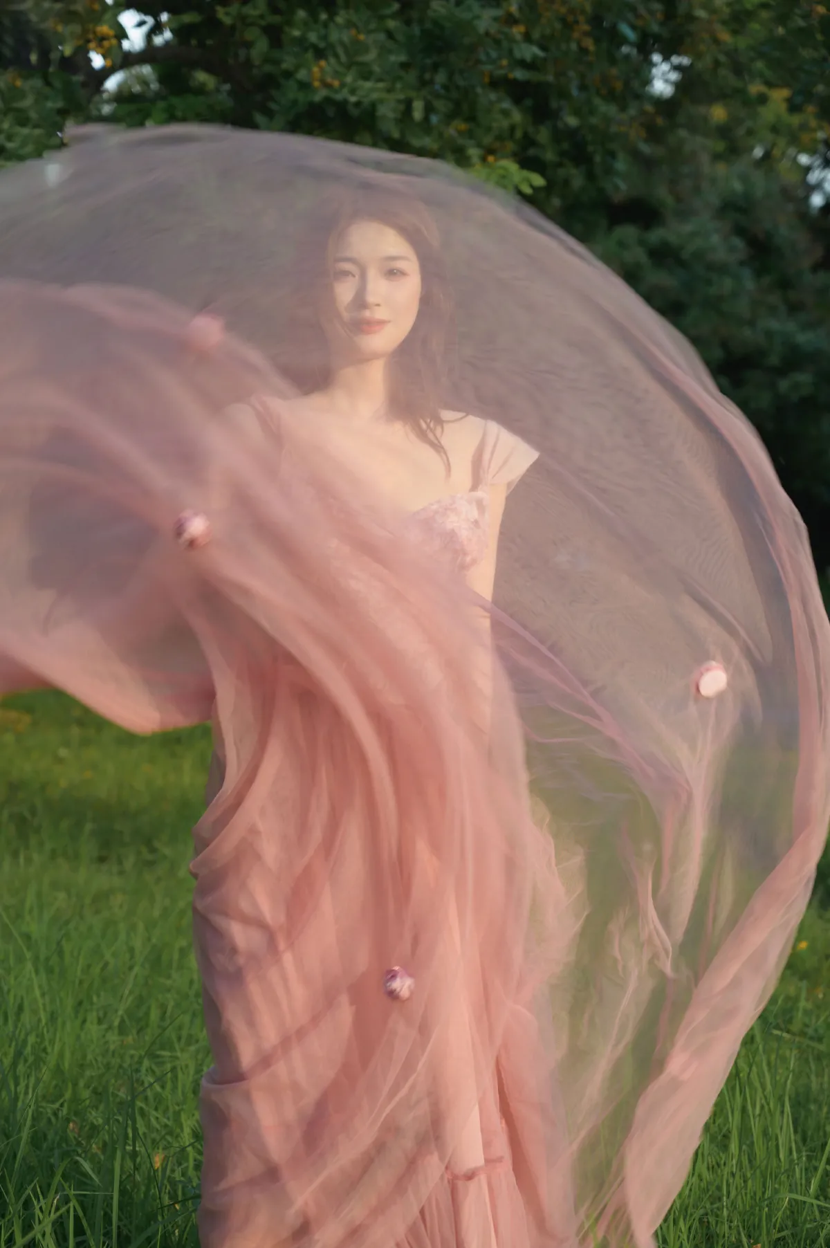 美丽的光