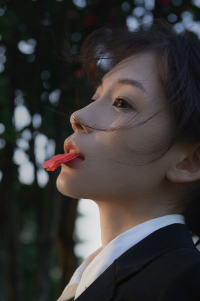 那年的山茶