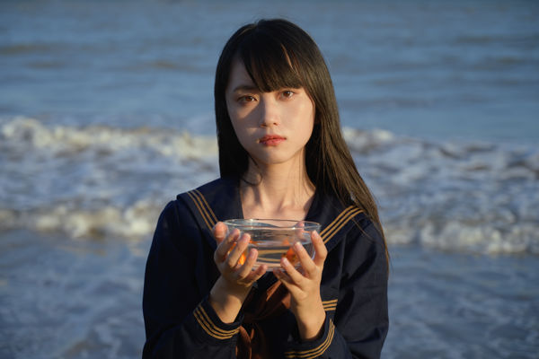 海与鱼