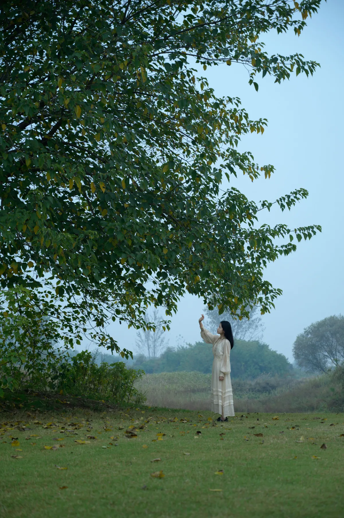 风雨欲来