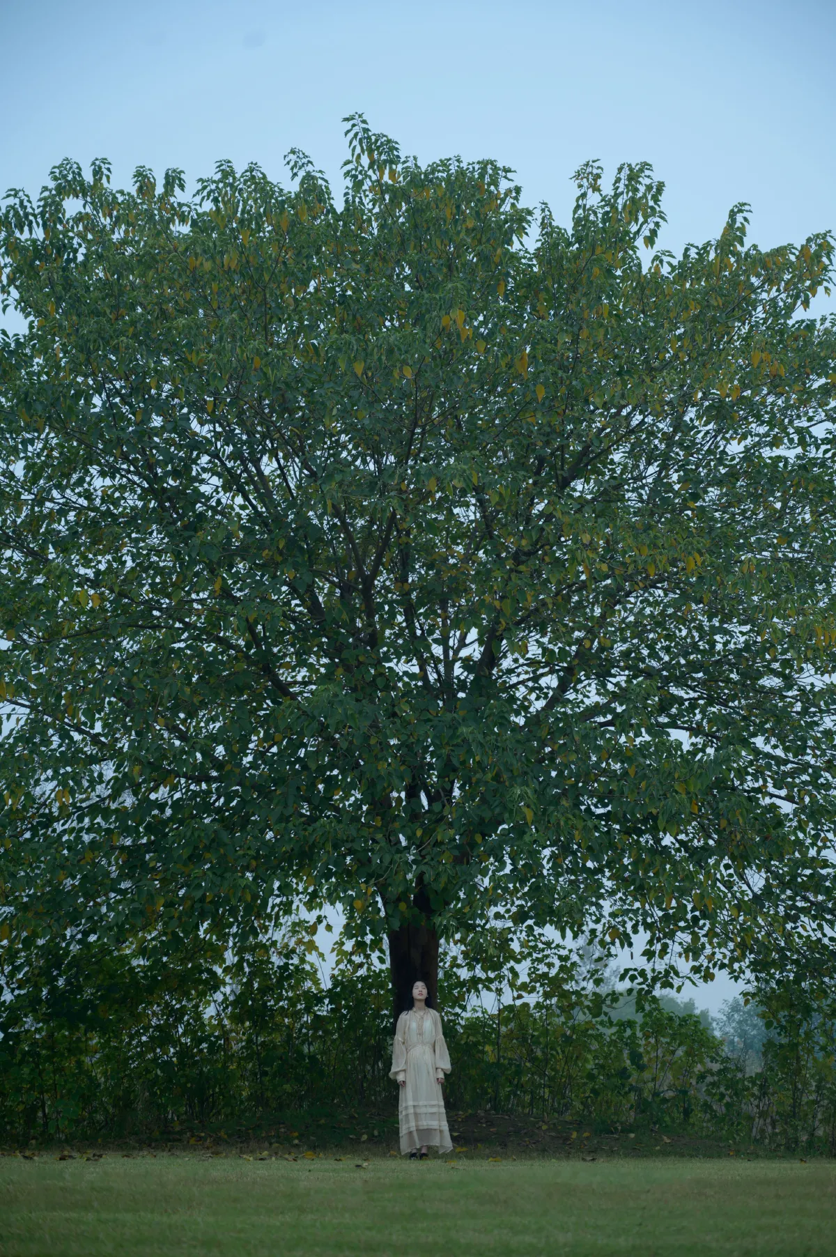 风雨欲来