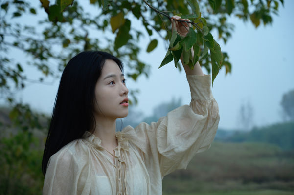 风雨欲来