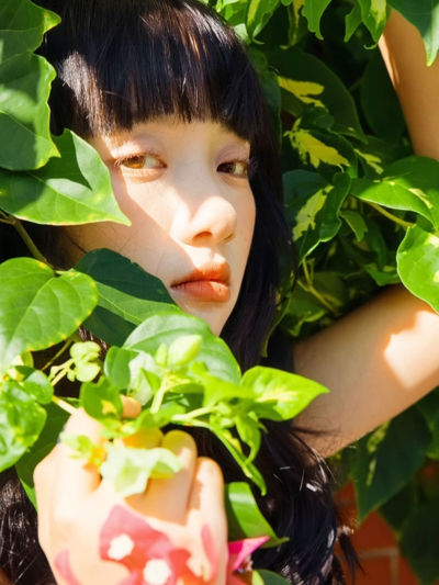 橘子少女