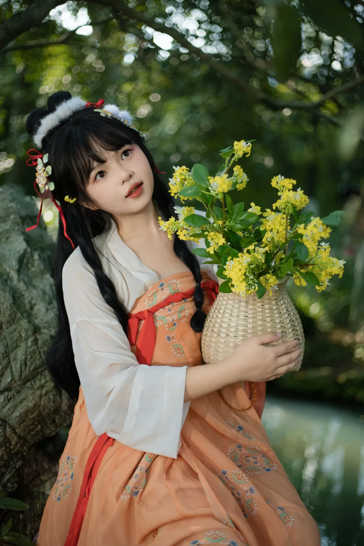春日来信