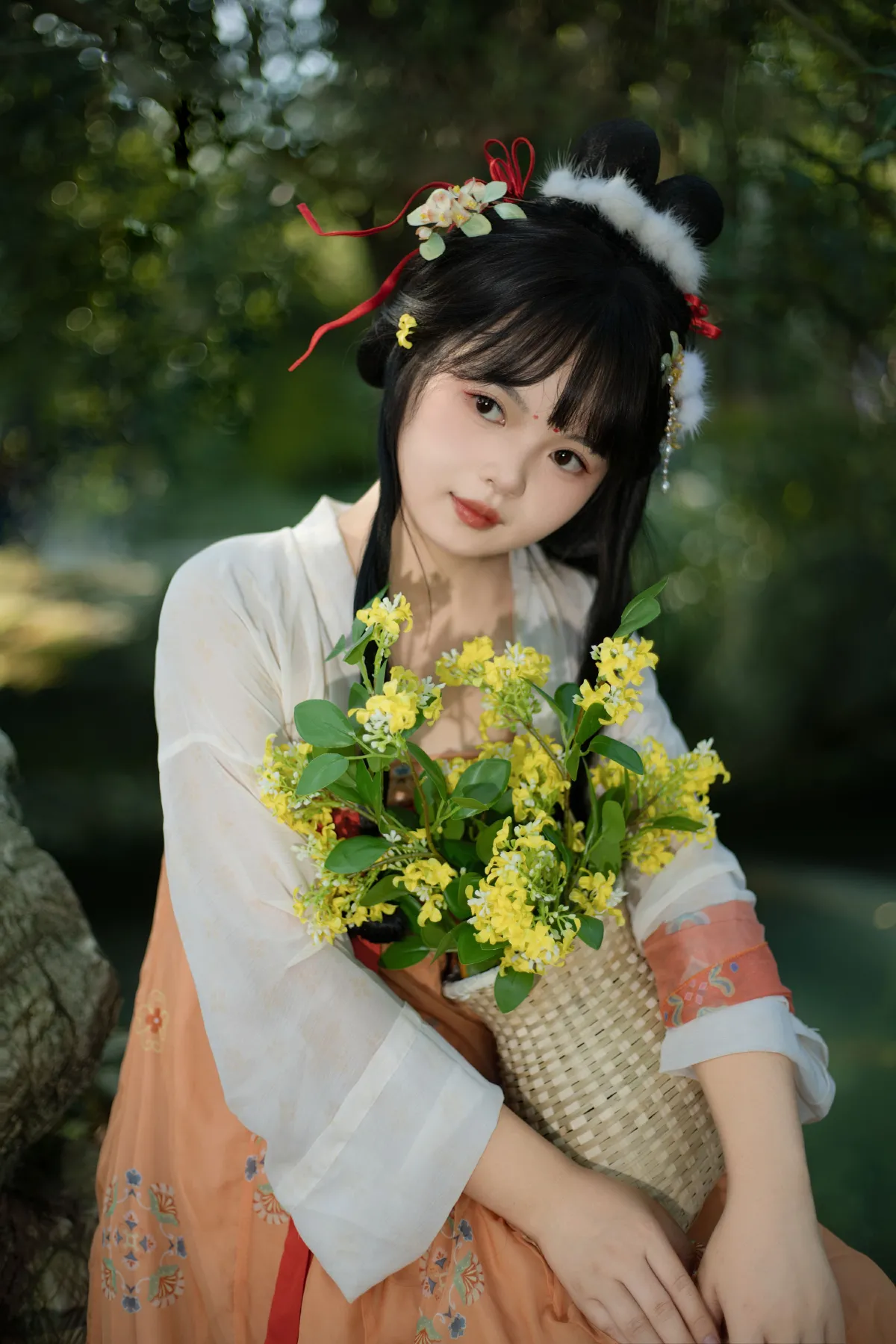 春日来信