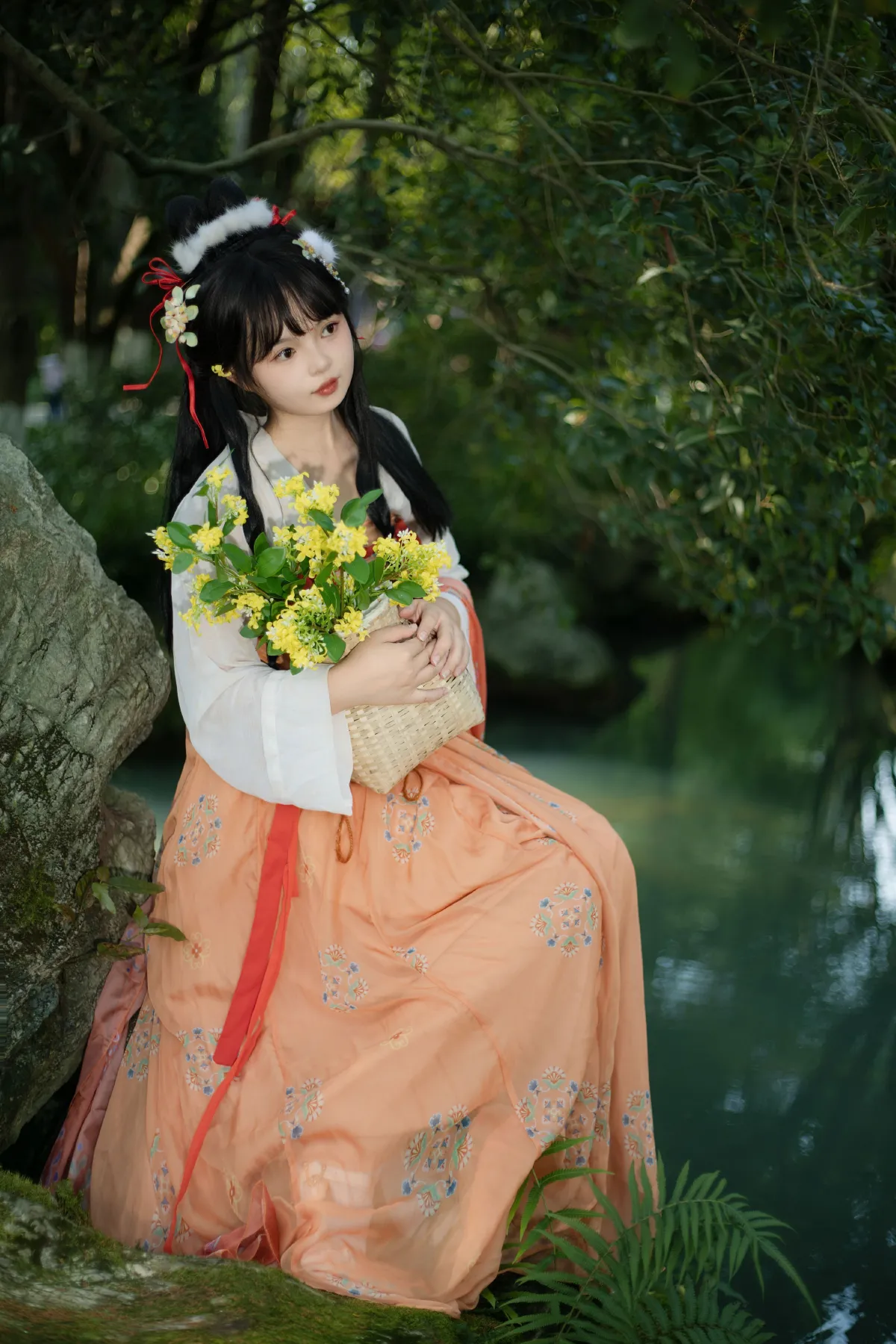 春日来信