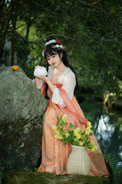 春日来信