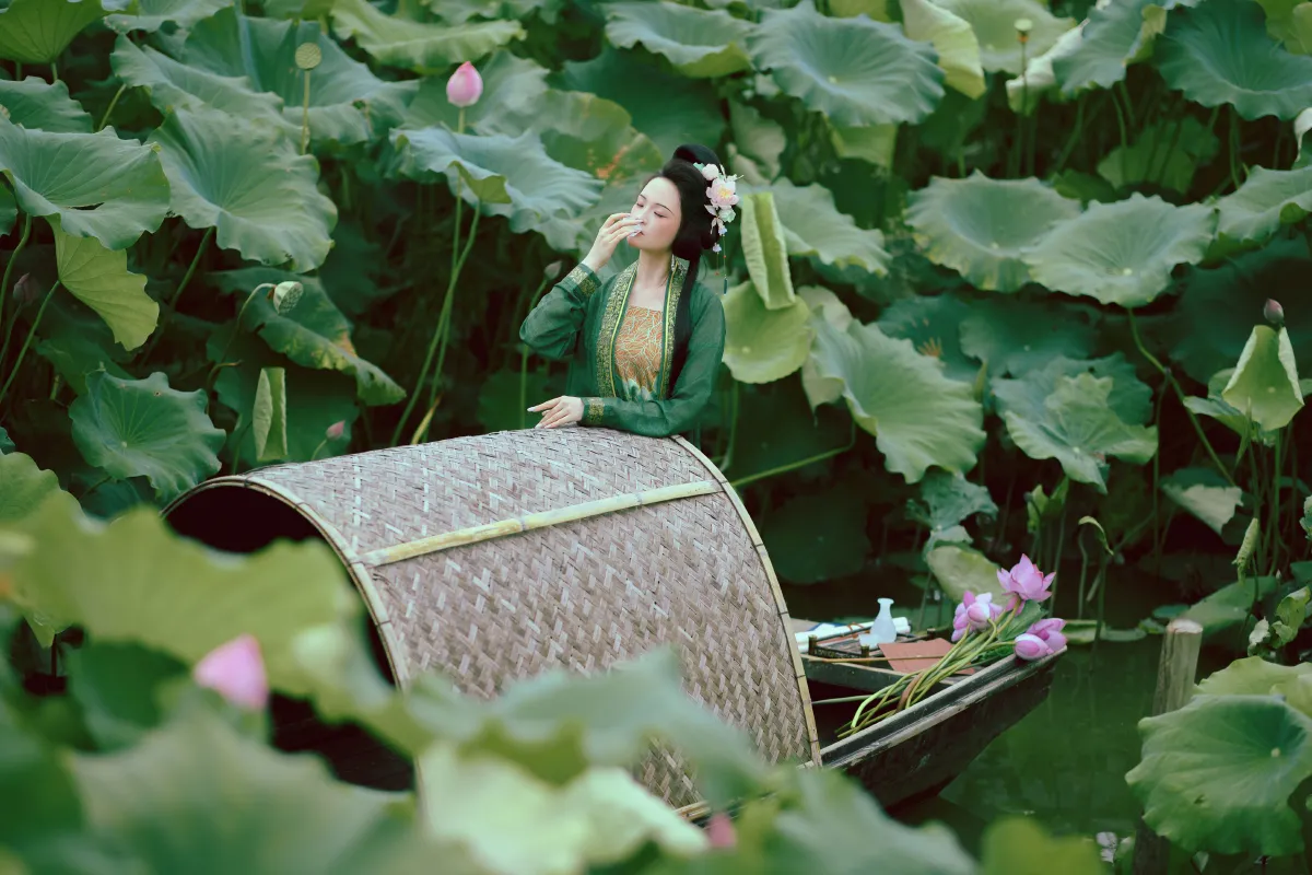 误入藕花