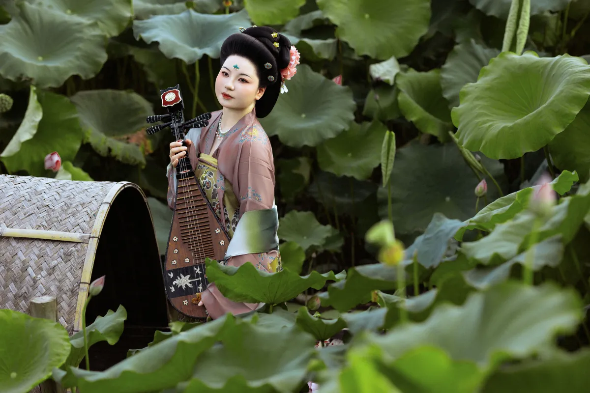 泊舟藕塘