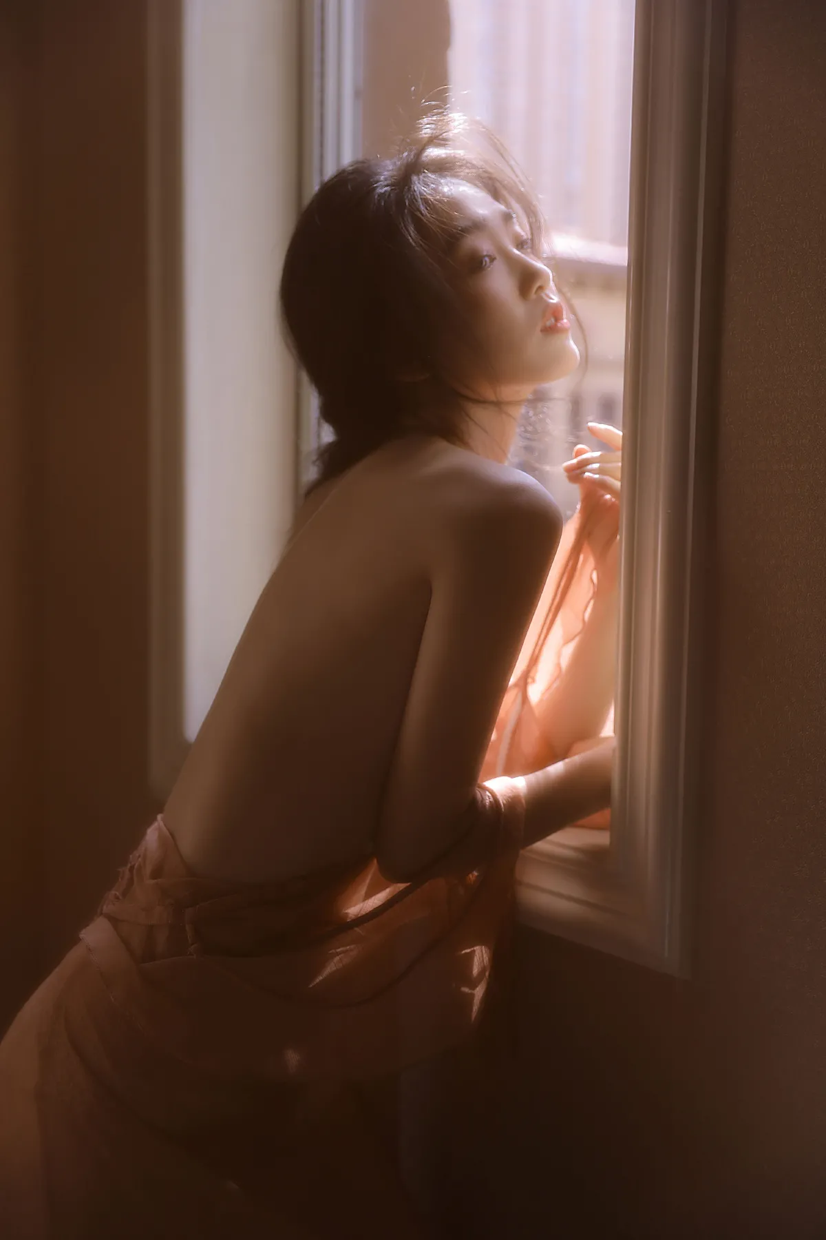 凌霄花绽放