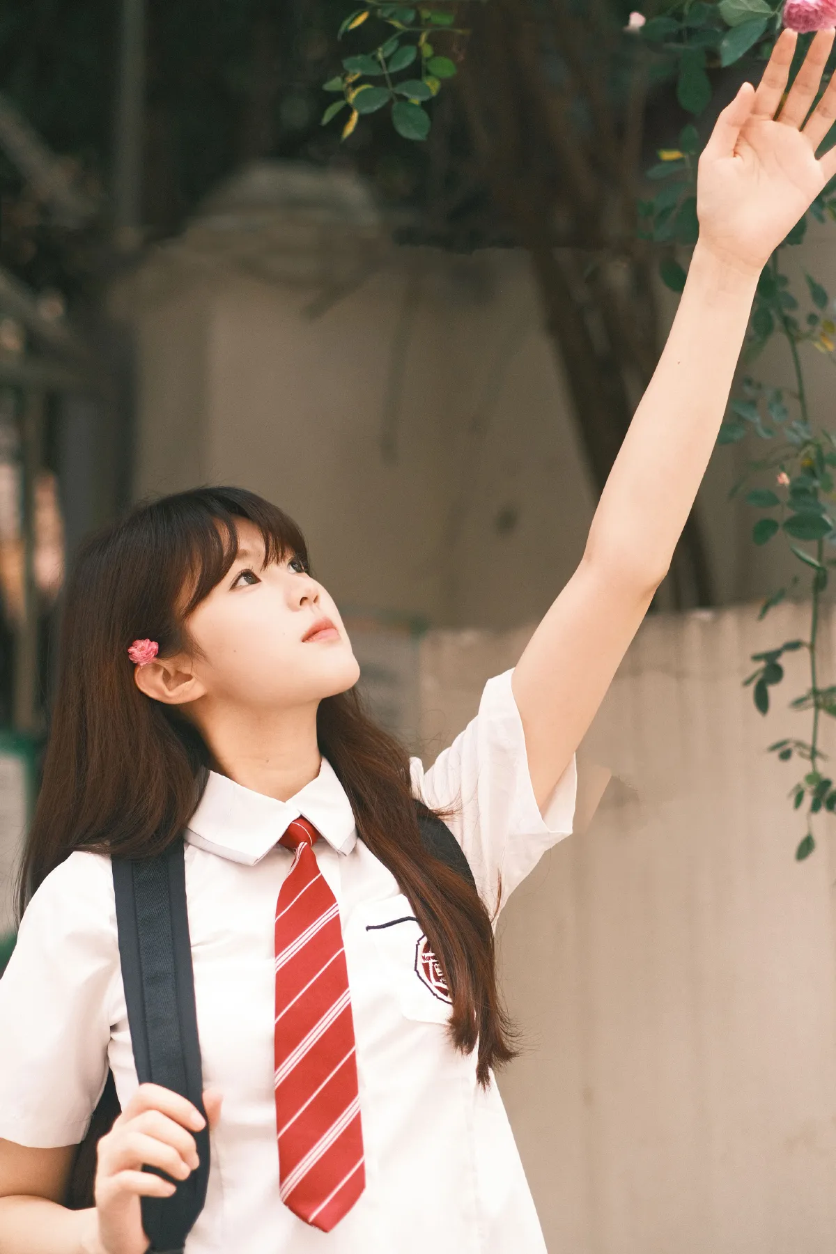 学姐你好