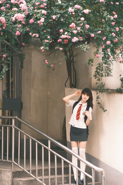 学姐你好