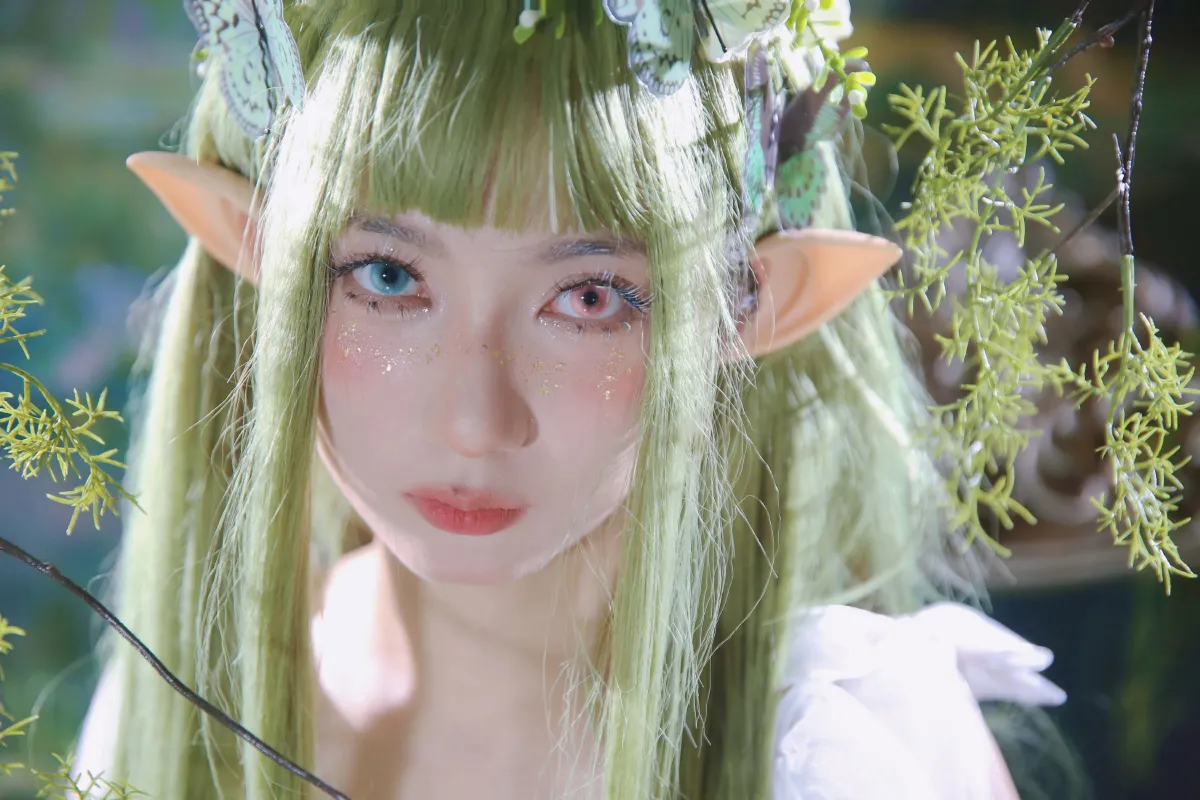 绿野仙踪