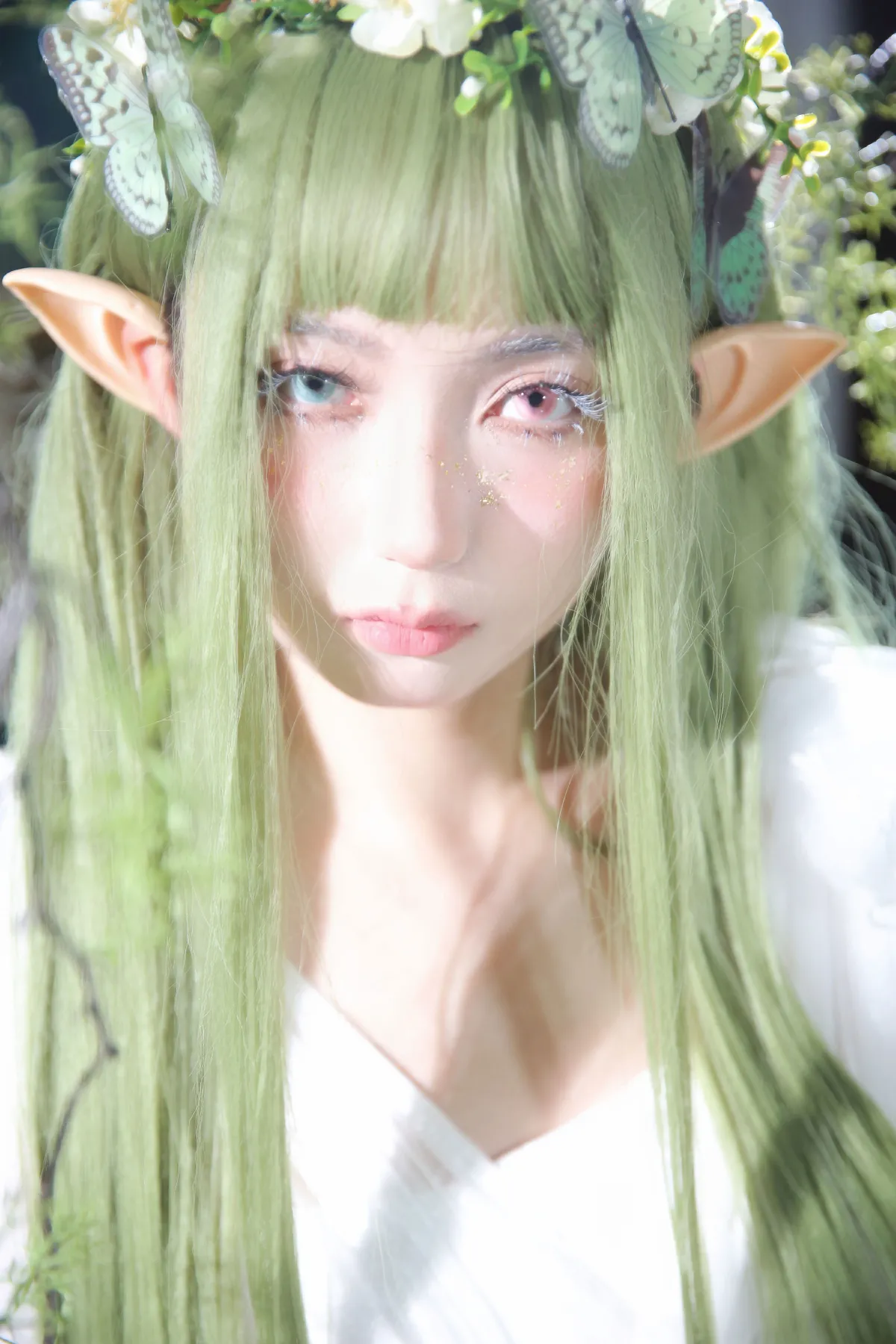 绿野仙踪