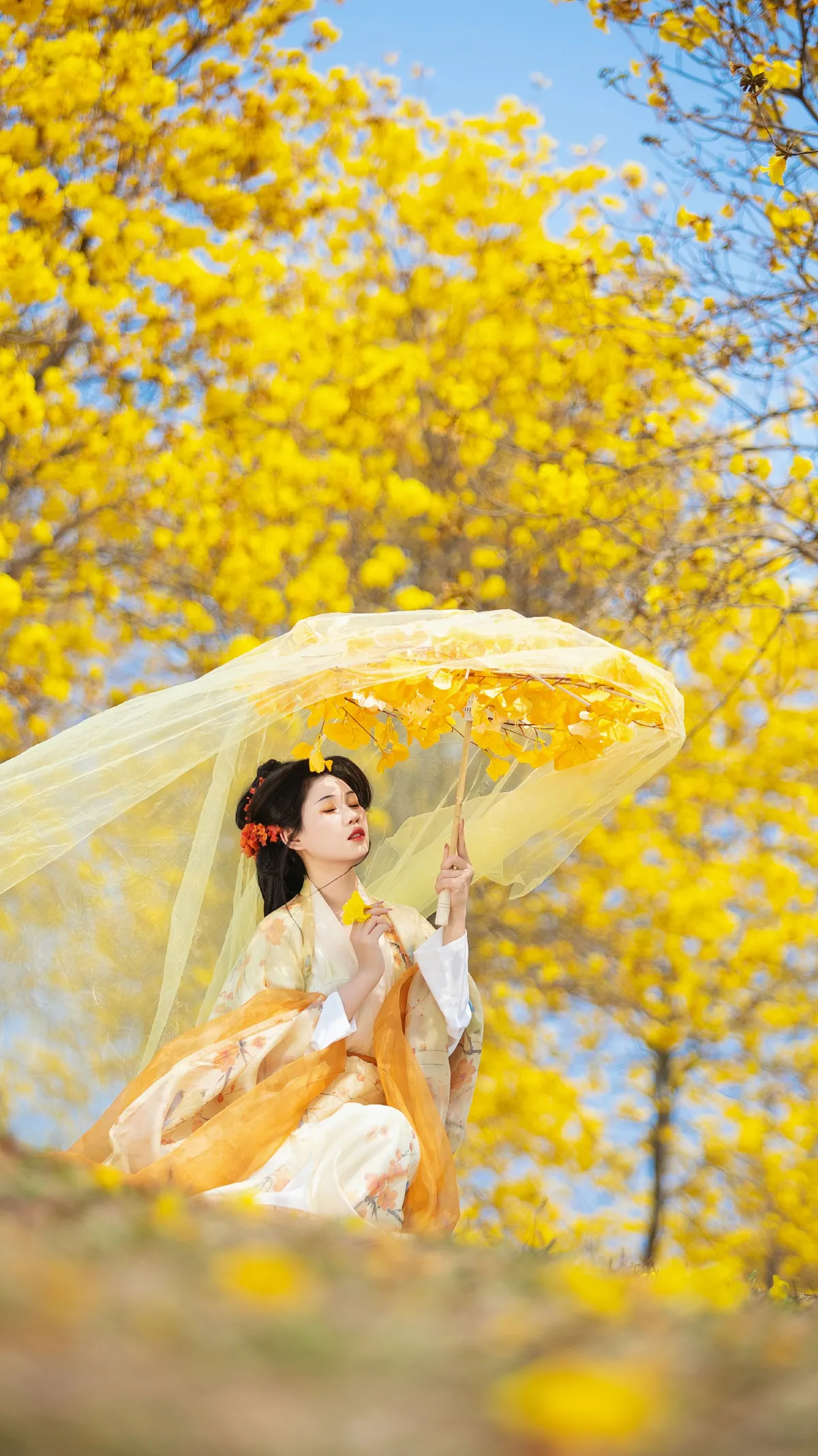 谁能拒绝黄色的花海！！！