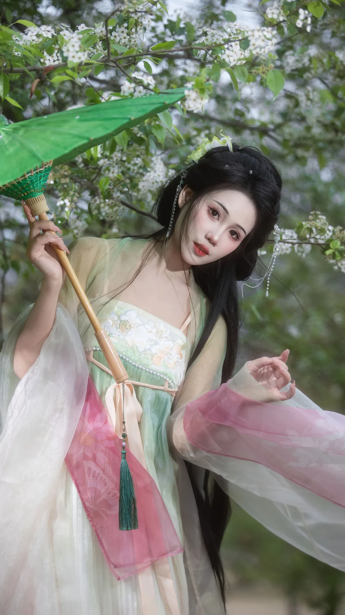 海棠未雨， 梨花先雪  
