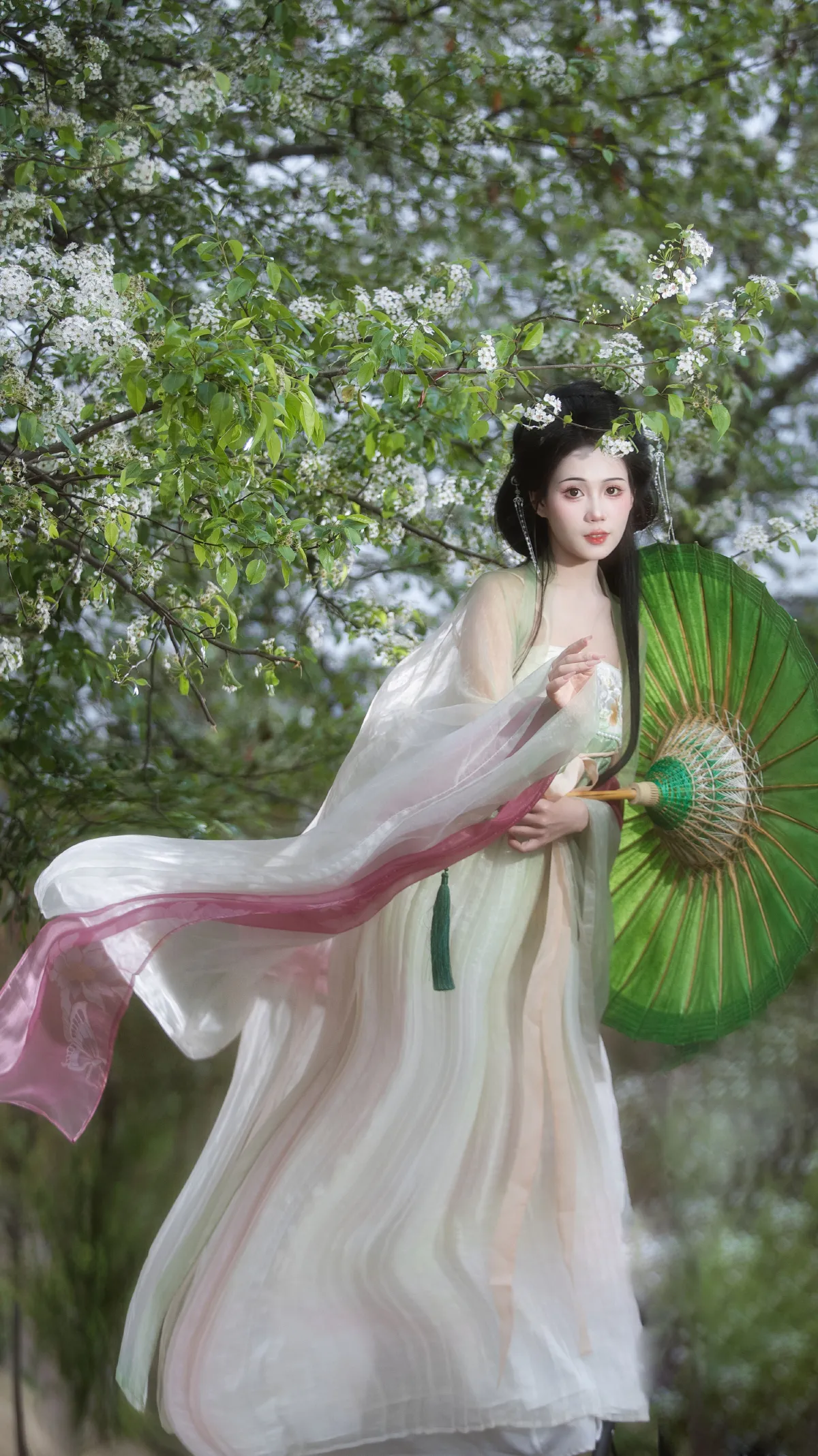 海棠未雨， 梨花先雪  