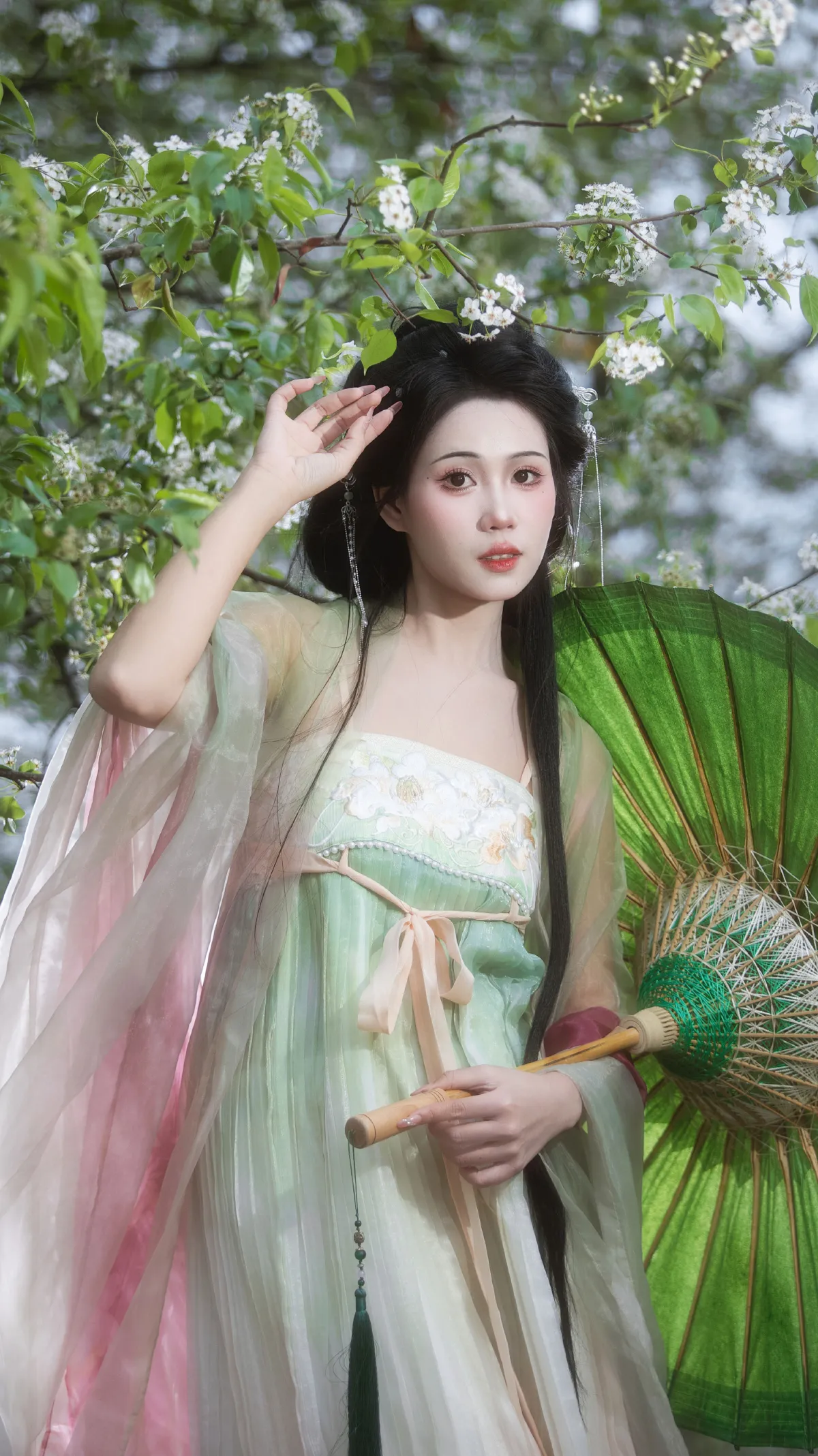 海棠未雨， 梨花先雪  
