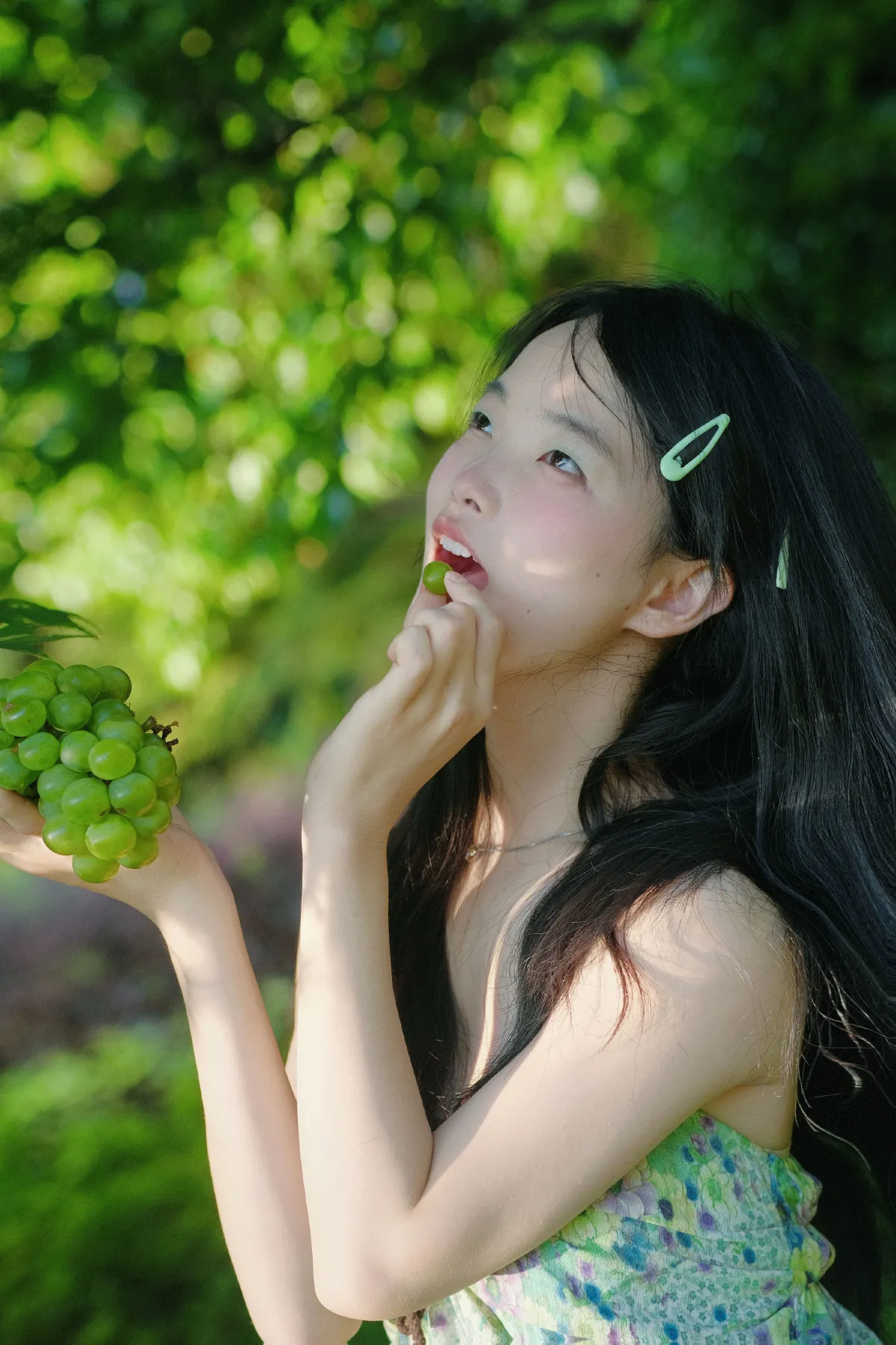 夏日青提