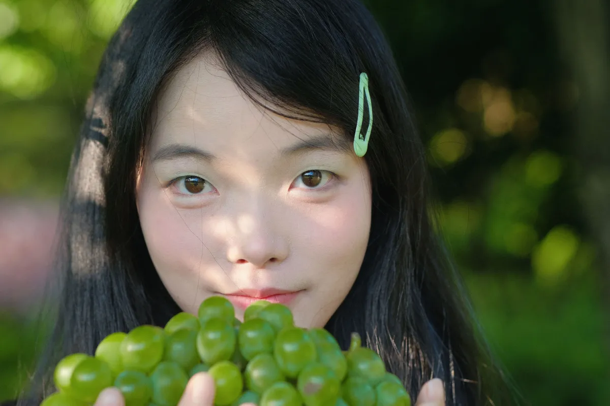 夏日青提