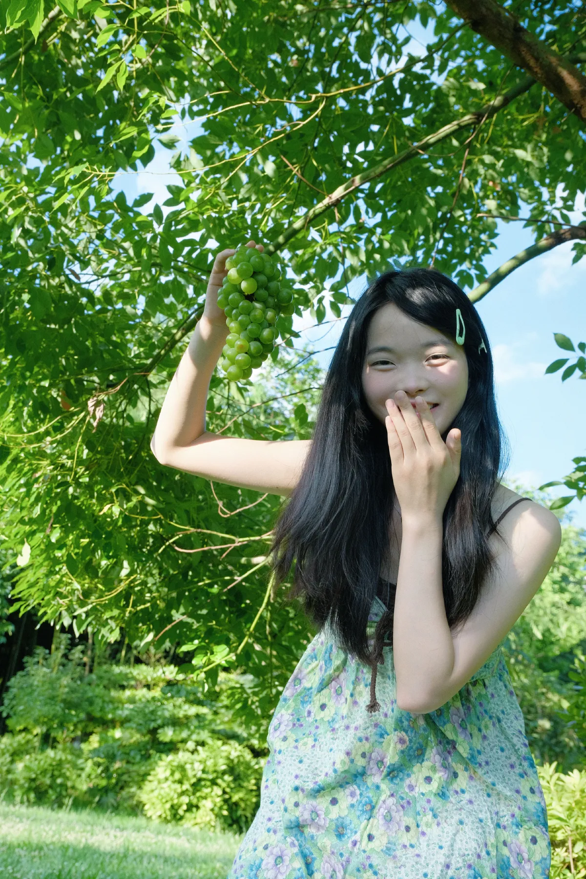 夏日青提