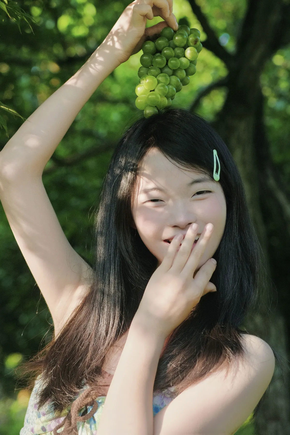 夏日青提