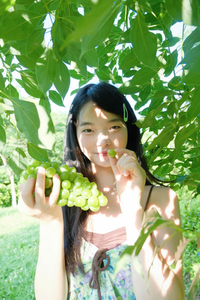 夏日青提
