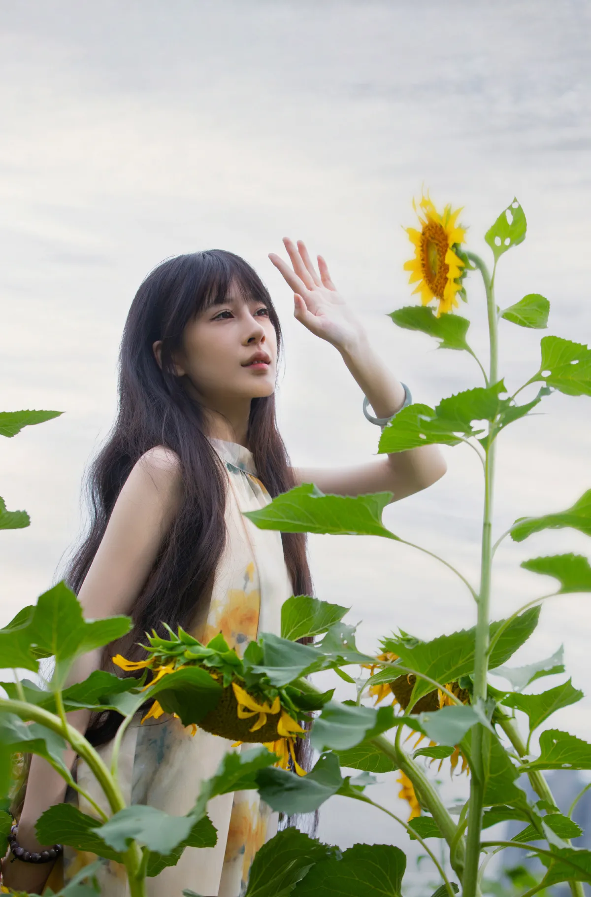 向日葵少女