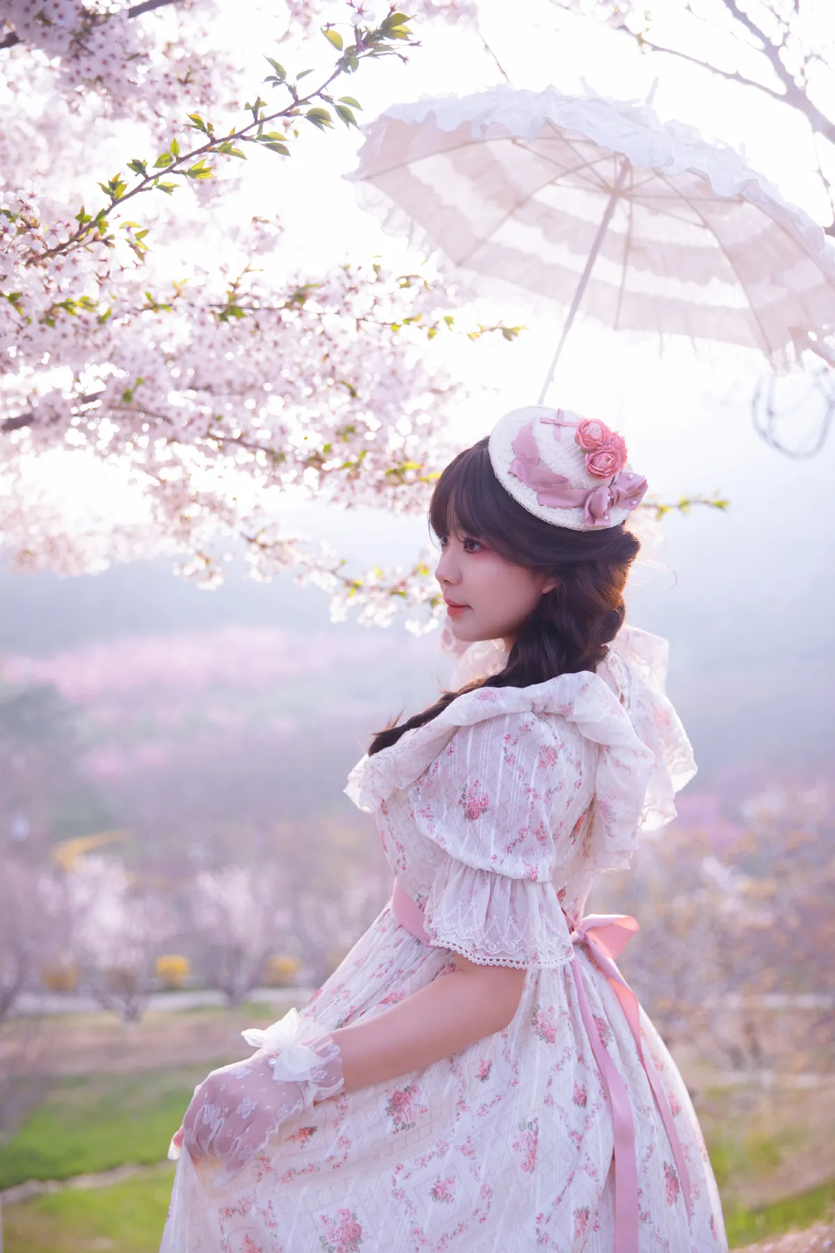 樱园洛丽塔：童话春境的少女诗