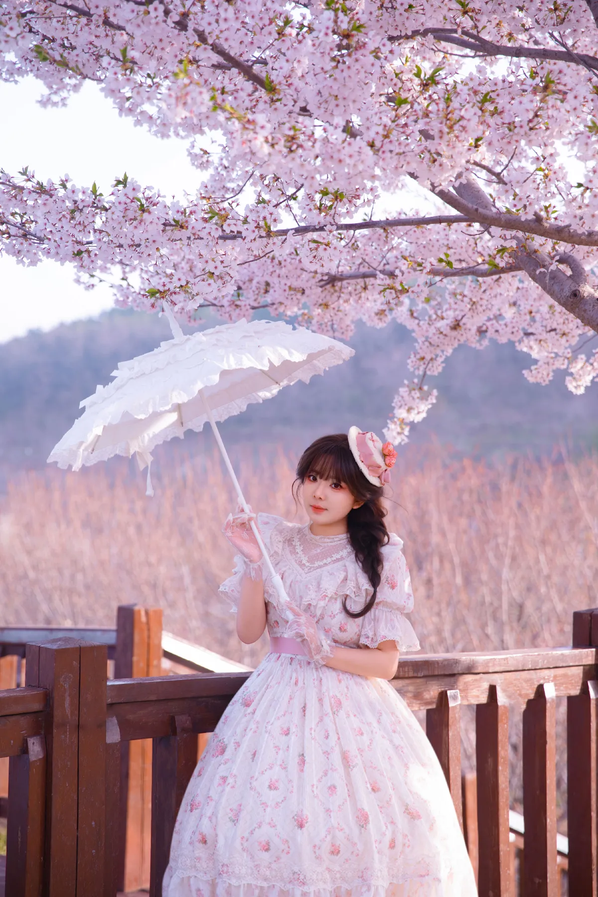 樱园洛丽塔：童话春境的少女诗