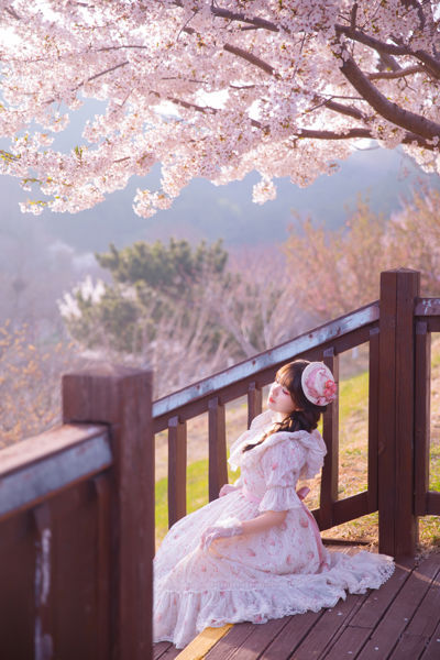 樱园洛丽塔：童话春境的少女诗