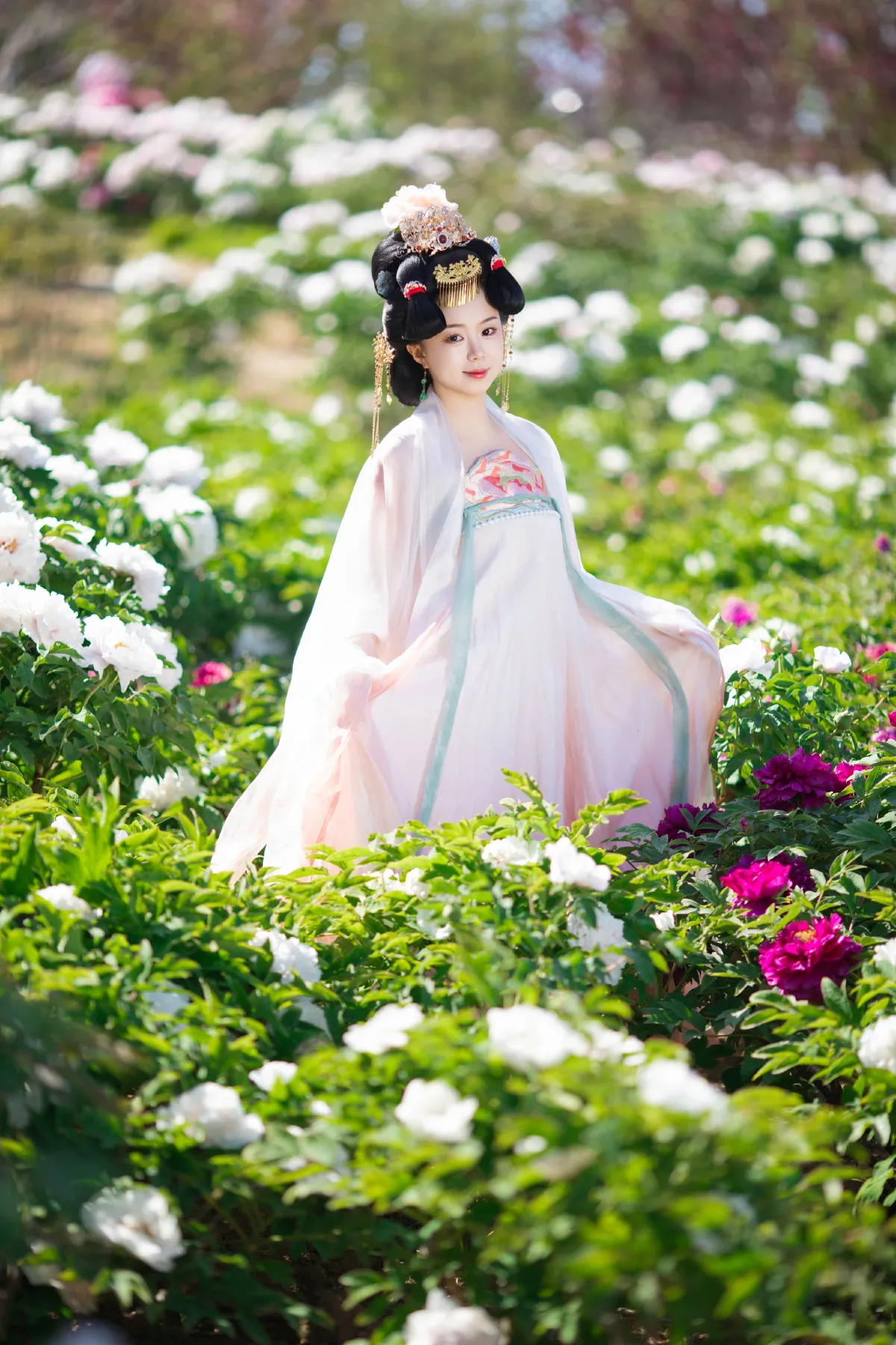花宴唐韵：盛世红颜的花间行