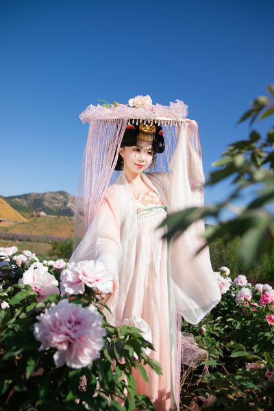 花宴唐韵：盛世红颜的花间行