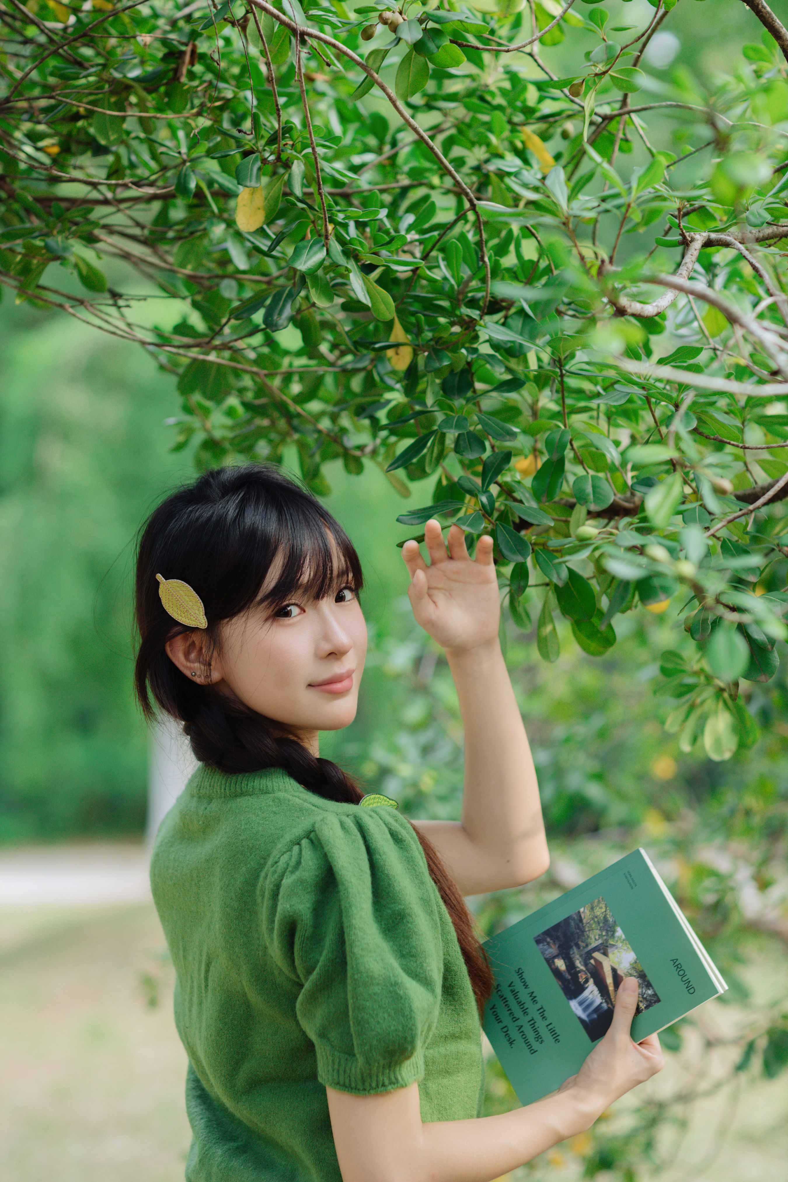 林间绿意