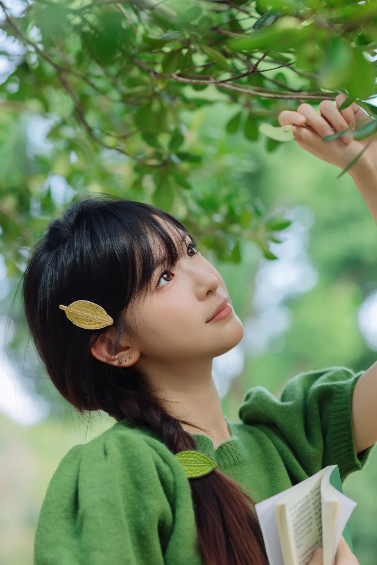 林间绿意