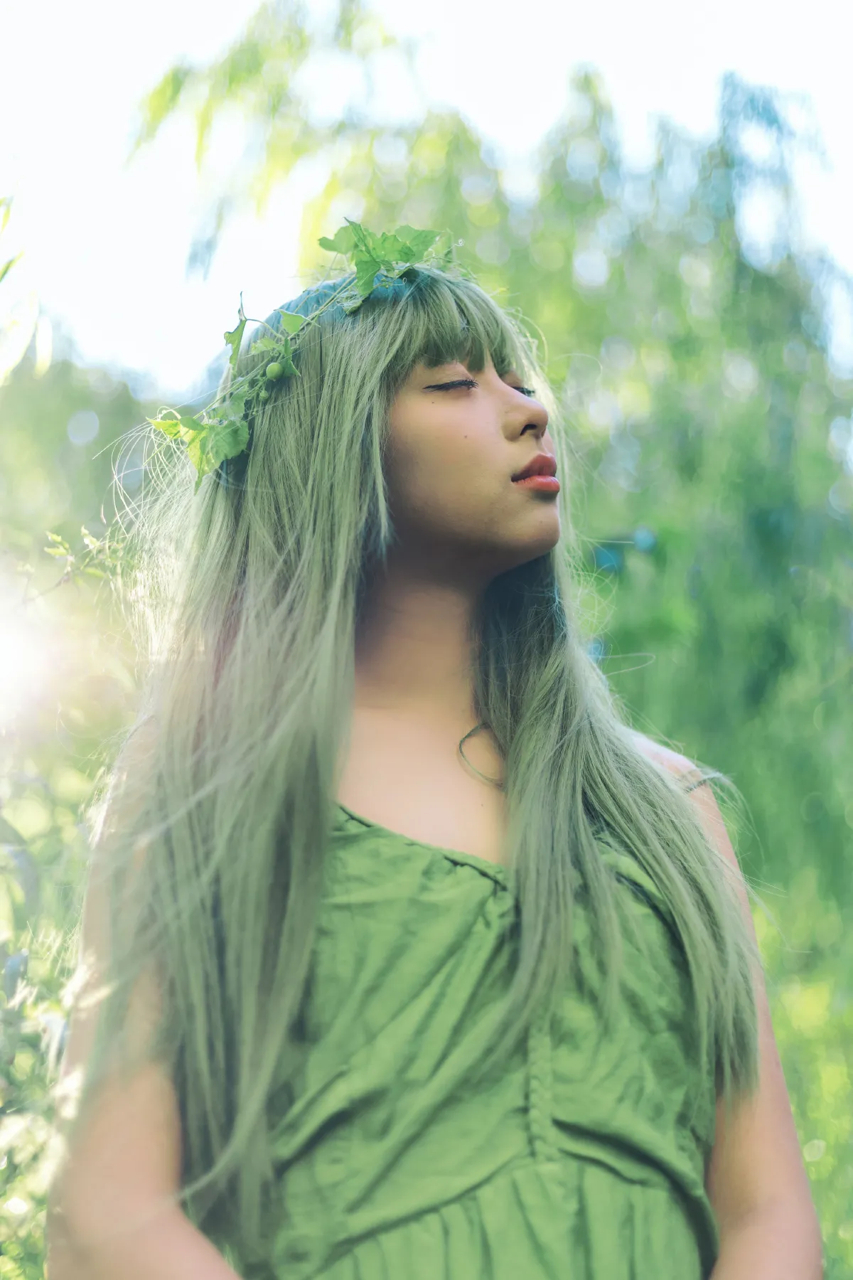 绿野仙踪