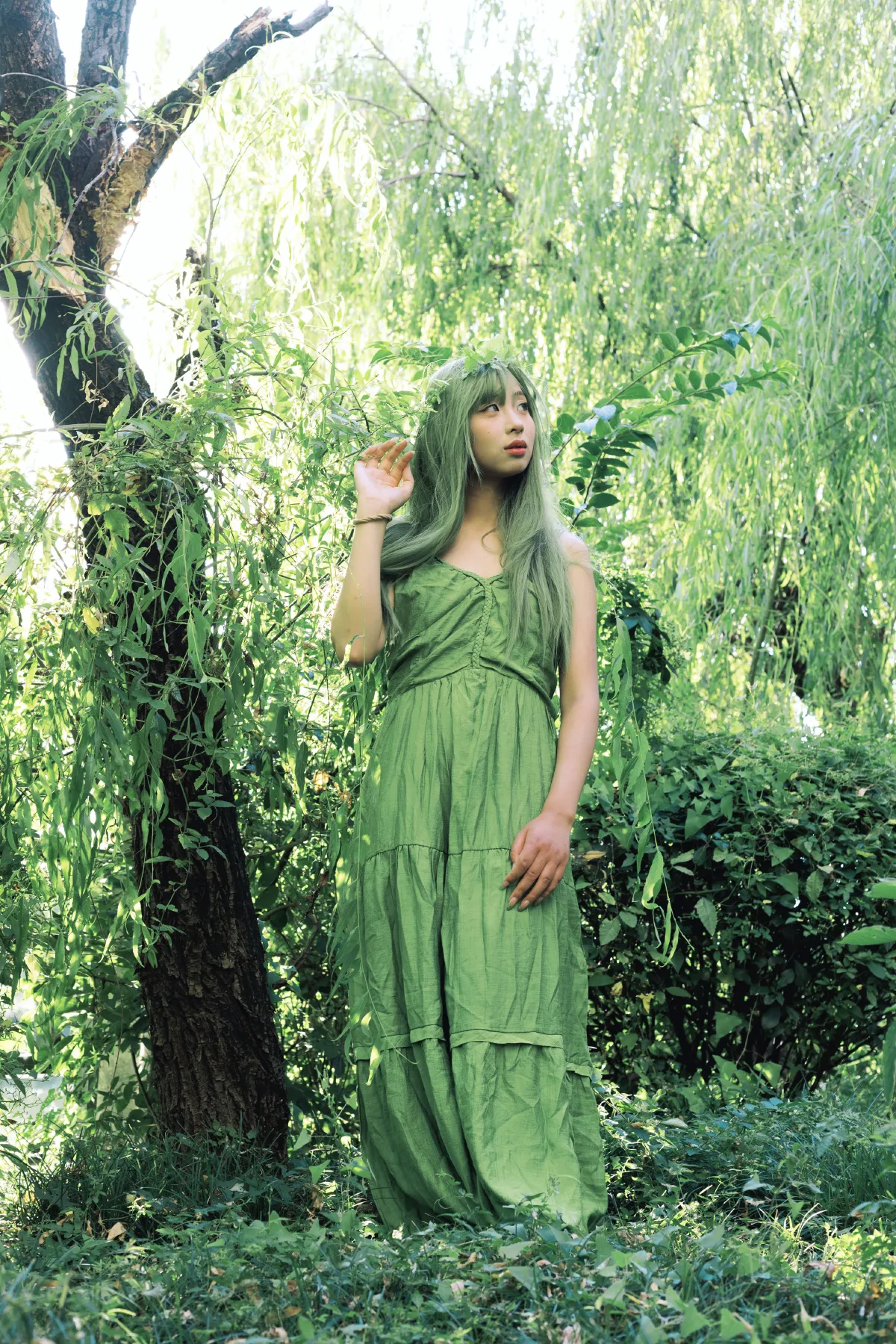 绿野仙踪