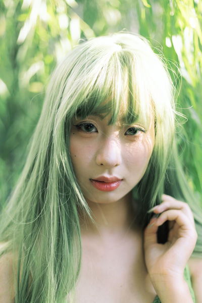 绿野仙踪