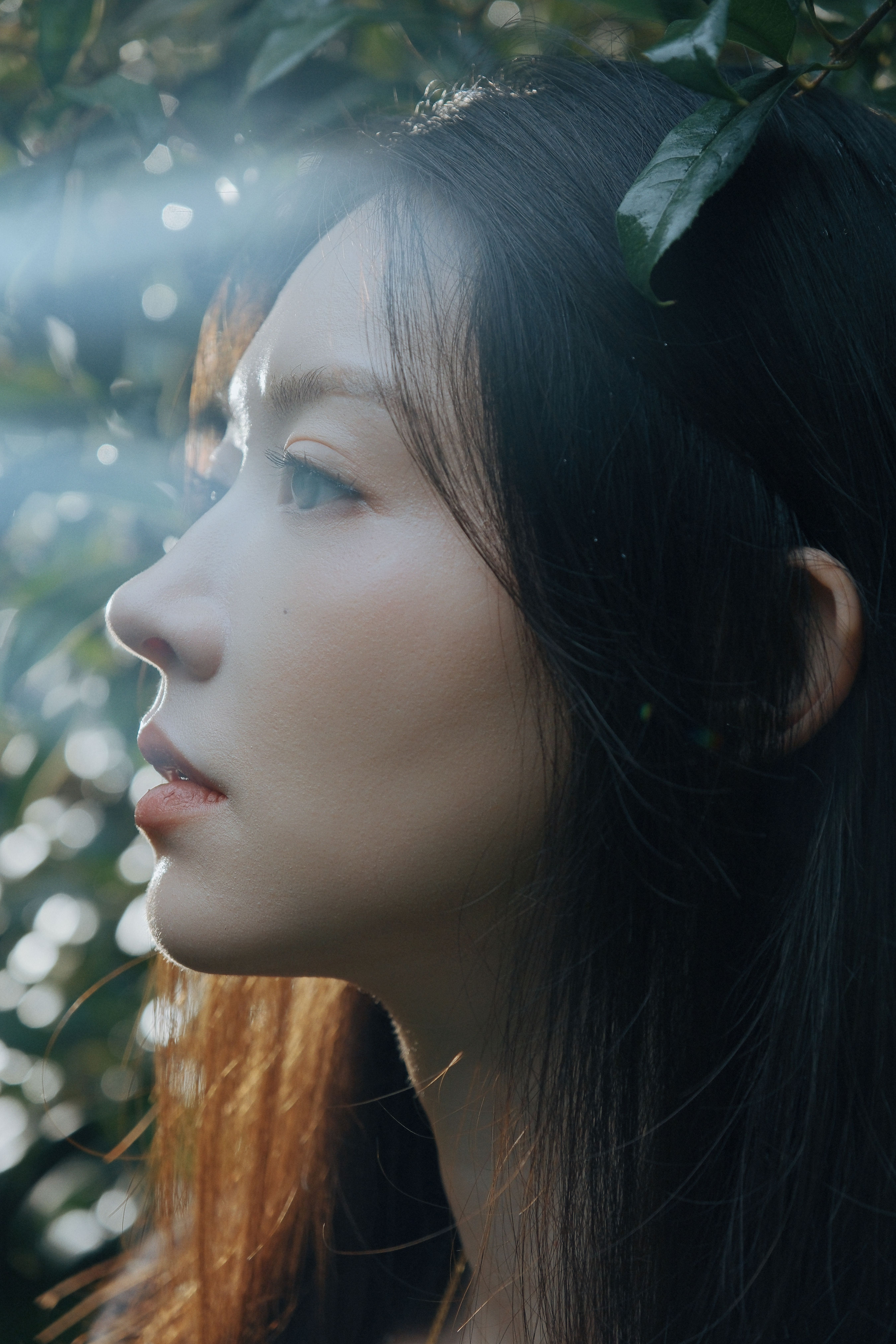 雨中