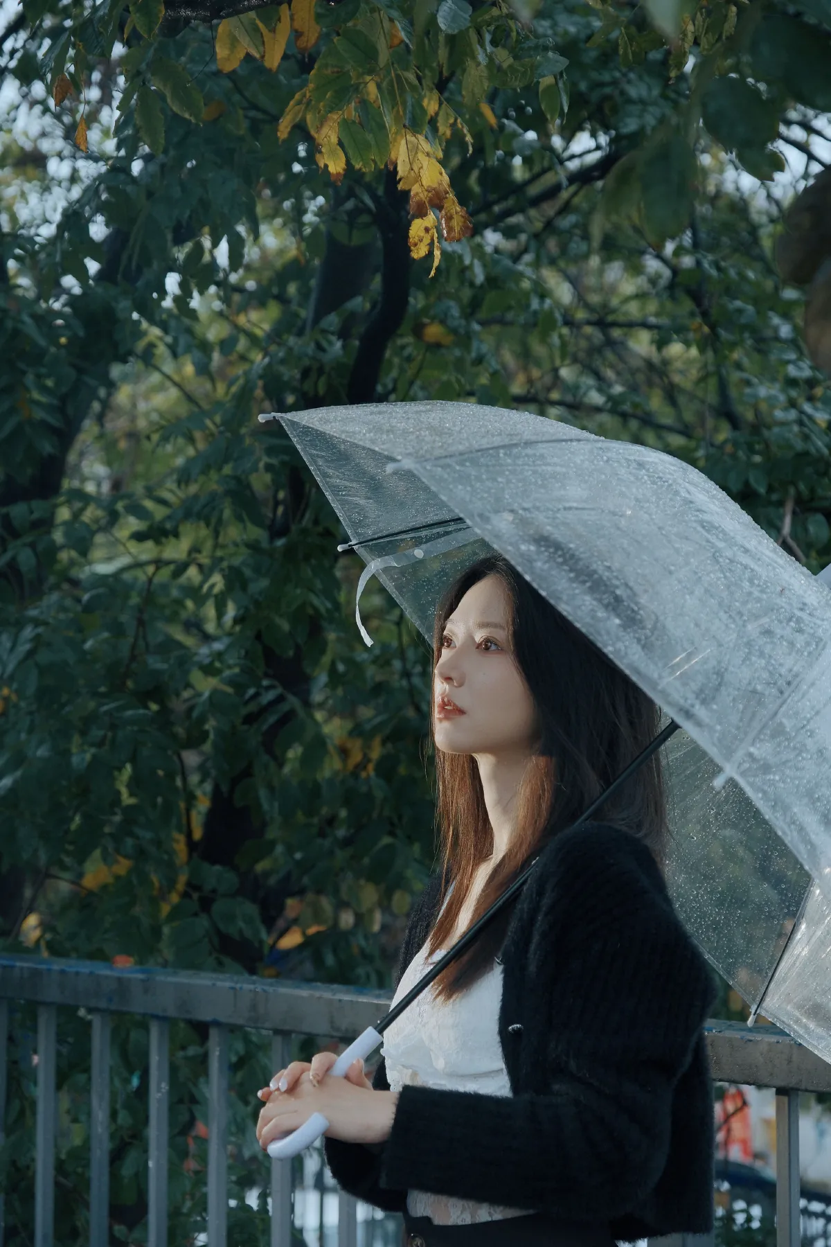 雨中