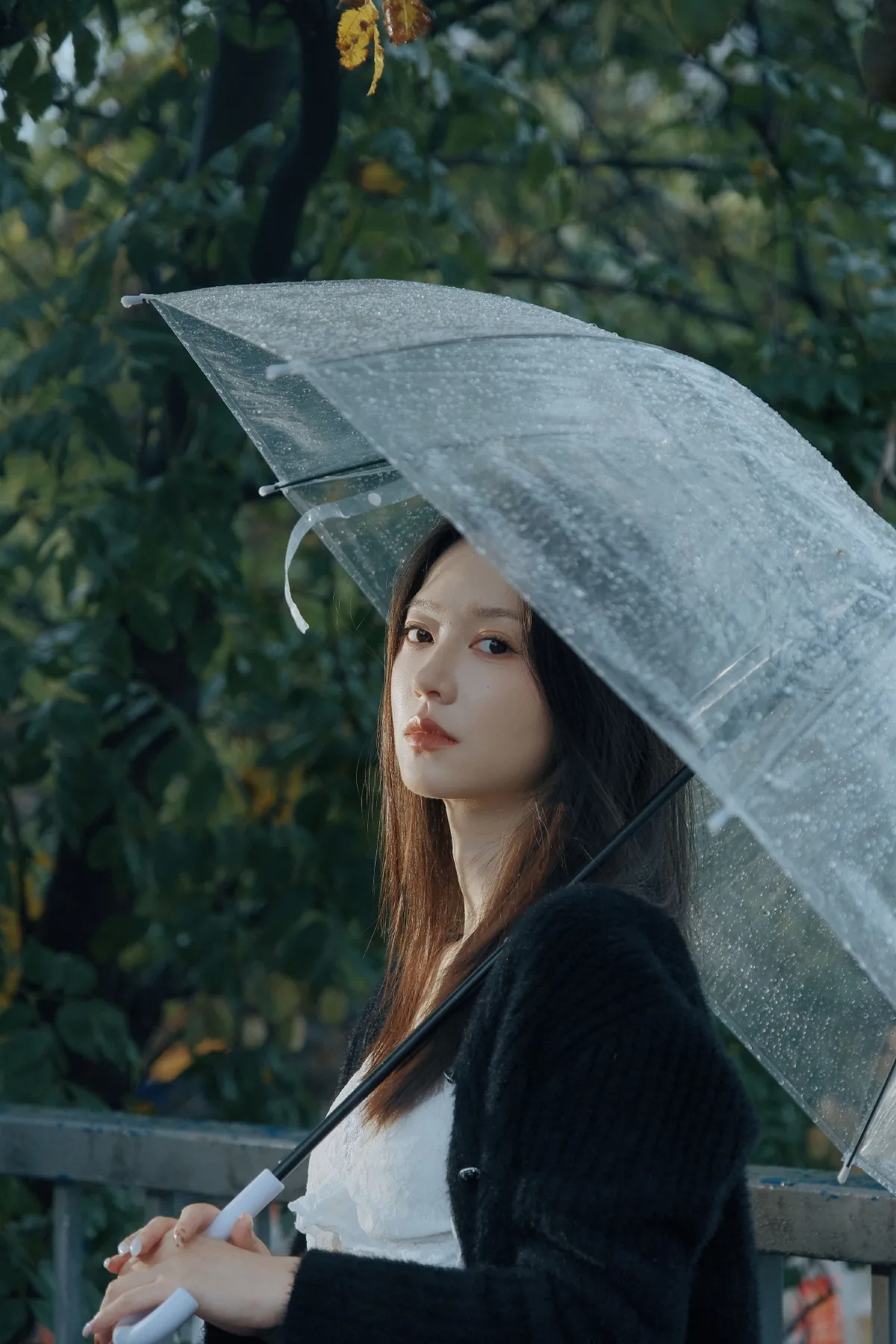 雨中